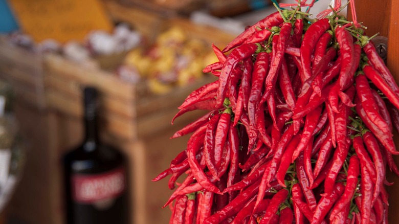 rack of fresh calabrian chilies