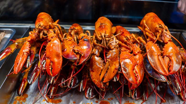 Lobsters on silver tray