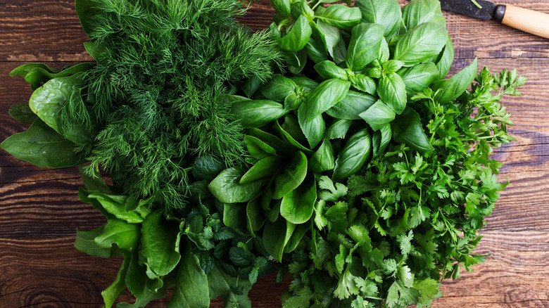 Fresh herbs arranged on a wood cutting board