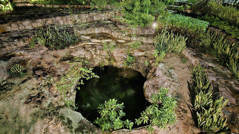 Ka Kutzal cenote at Costco in Merida, Mexico