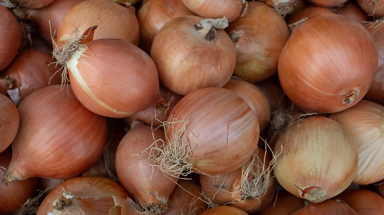 close up shot of a pile of yellow onions