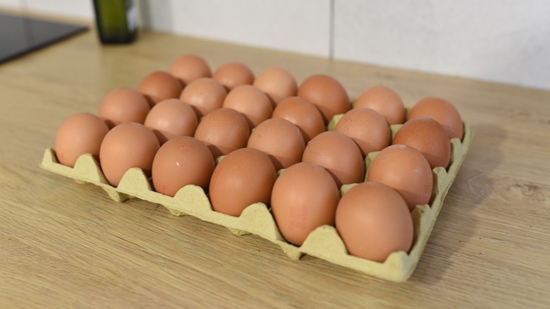 Carton of eggs