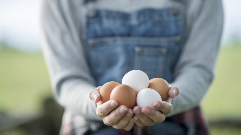 Farmer holding eggs