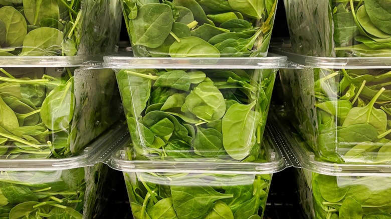 Baby spinach in plastic containers