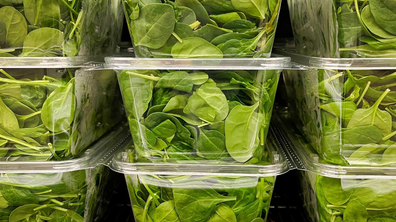 The Unique Way To Store Spinach For Added Freshness