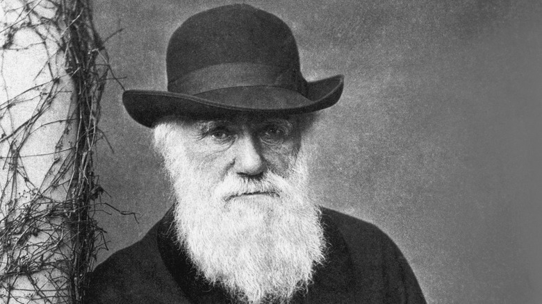 portrait of charles darwin