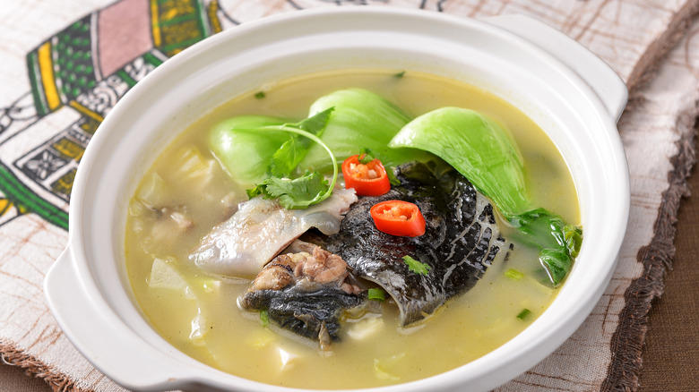 turtle and vegetable soup in bowl