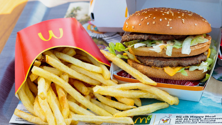 A McDonald's Big Mac sits in a box next to a medium fry