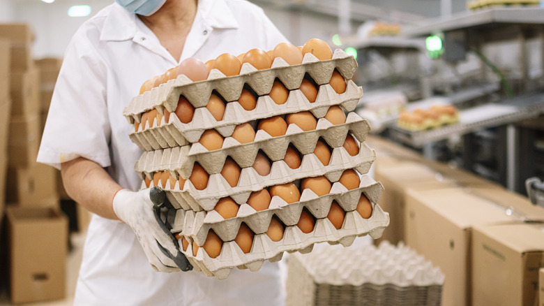 Employee holding multiple cartons of eggs