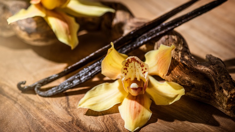 Vanilla pod and flower