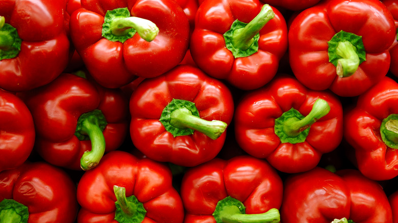 Rows of red bell peppers 