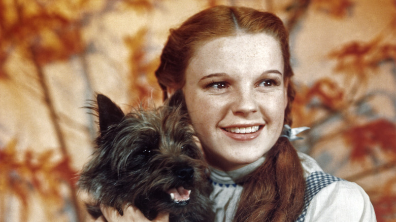 Judy Garland as Dorothy in The Wizard Of Oz