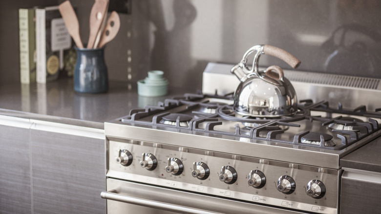 A tea kettle sits on a stainless steel stove