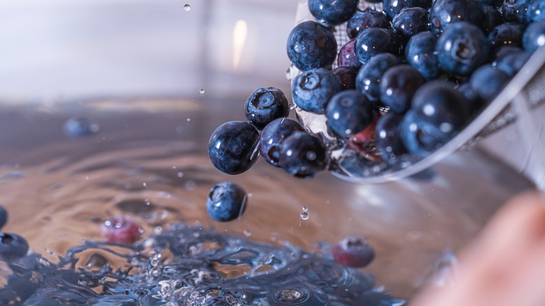 pouring blueberries into water