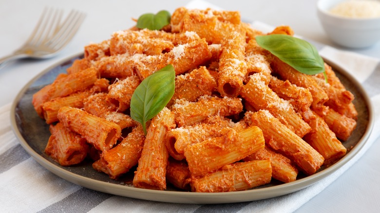 Plate of rigatoni alla vodka