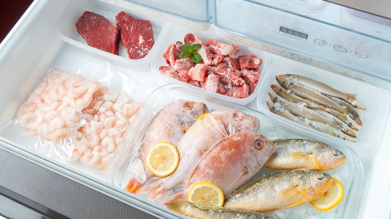 frozen meat and fish in freezer