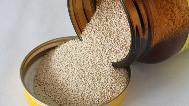 Bottle of dried yeast