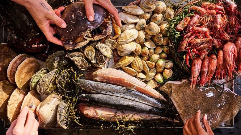 hands touching seafood on table
