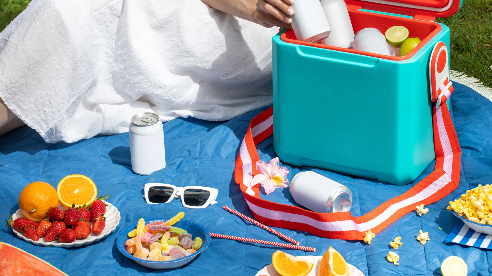 <a href="https://www.foodrepublic.com/2119965/common-picnic-mistakes-to-avoid/" target="_blank">These 10 Mistakes Will Ruin Your Perfect Picnic</a>