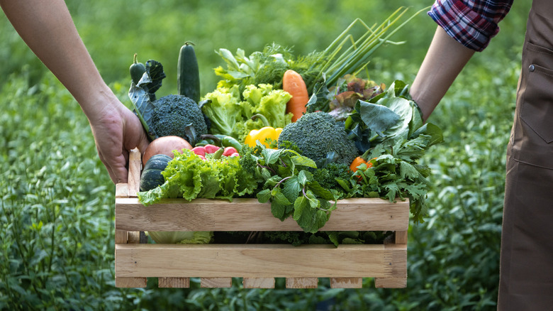Closeup of a variety of vegetables in a small wooden crate carried by two people