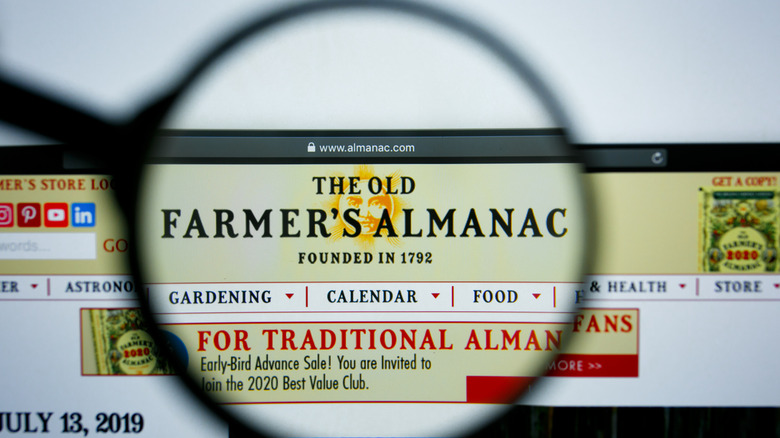 A magnifying glass is held over The Old Farmer's Almanac's website banner