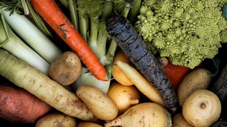 A variety of vegetables in closeup