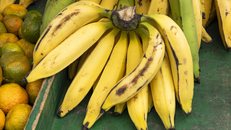 A bunch of plantains.