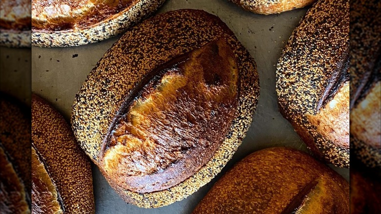Variety of sourdough boules from Desert Bread