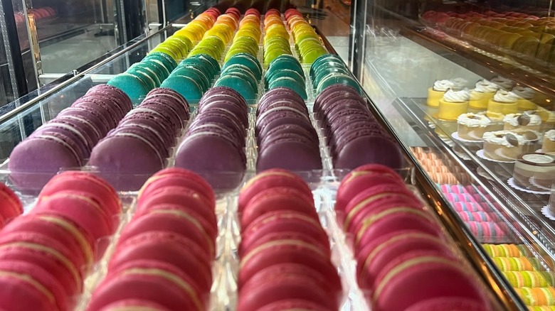 Colorful trays of macarons inside the pastry display at Fillings & Emulsions