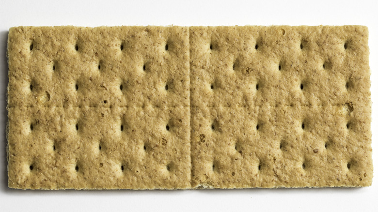 whole graham cracker white background