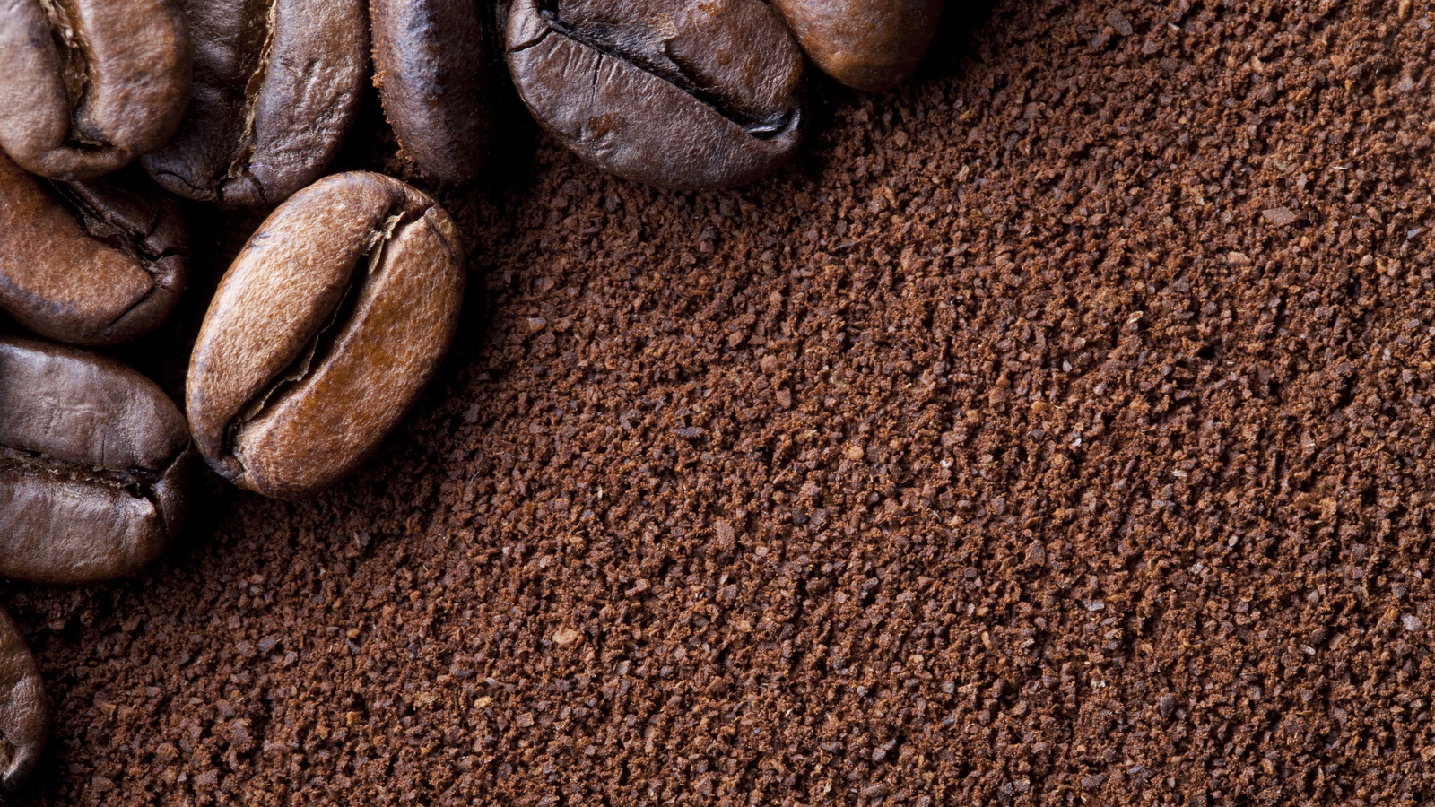 Think Twice Before Putting Coffee Grounds In The Garbage Disposal