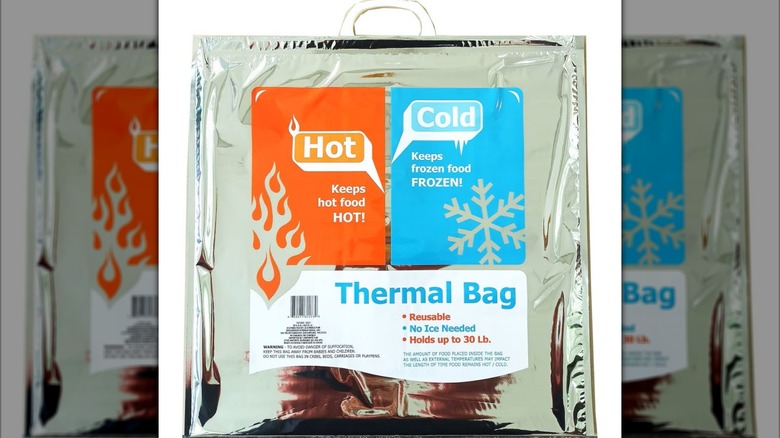 Dollar Tree's hot/cold insulated bag.