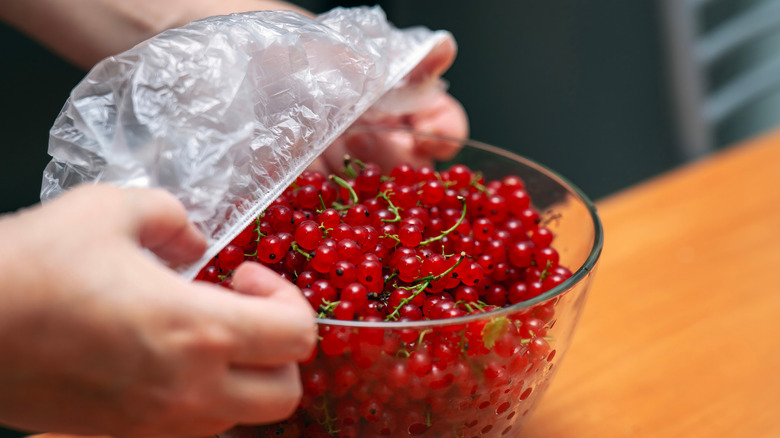 close up of person using plastic bowl cover on bowl of cranberries