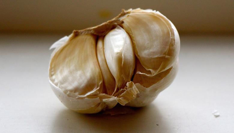 garlic