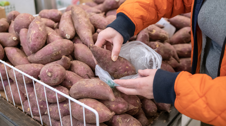 Person bags sweet potatoes at the grocery store