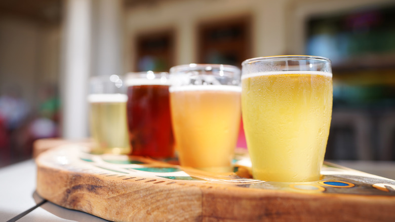 A flight of craft beers