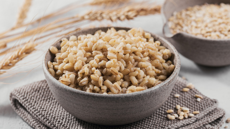 A bowl full of cooked barley with uncooked barley grains nearby