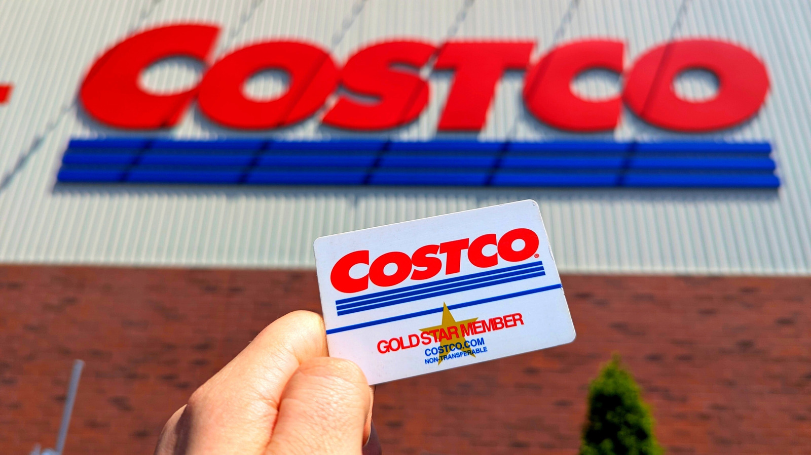 <a href="https://www.foodrepublic.com/1953506/unique-costco-location-food-trucks-hawaii/" target="_blank">This Unique Costco Location Doubles As A Food Truck Hot Spot</a>
