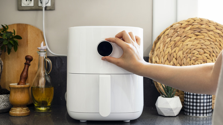 Person using an air fryer