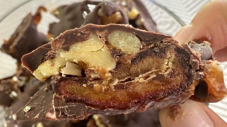 date bark close up