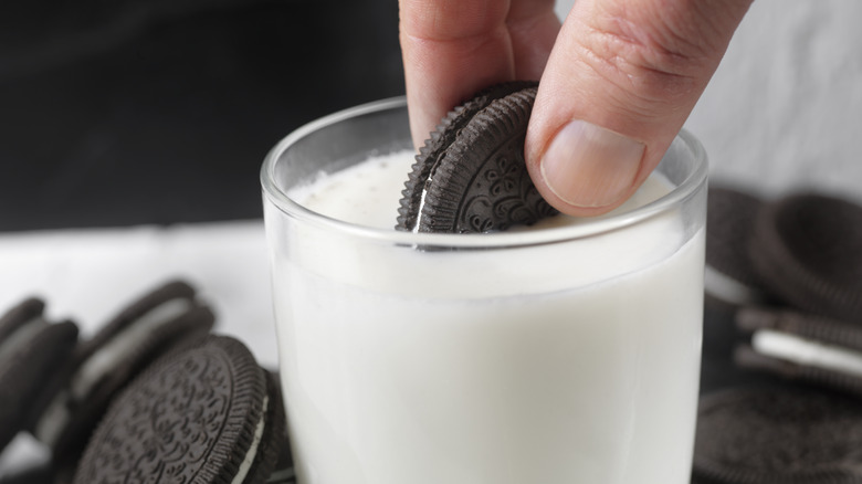 Dunking chocolate sandwich cookies in milk