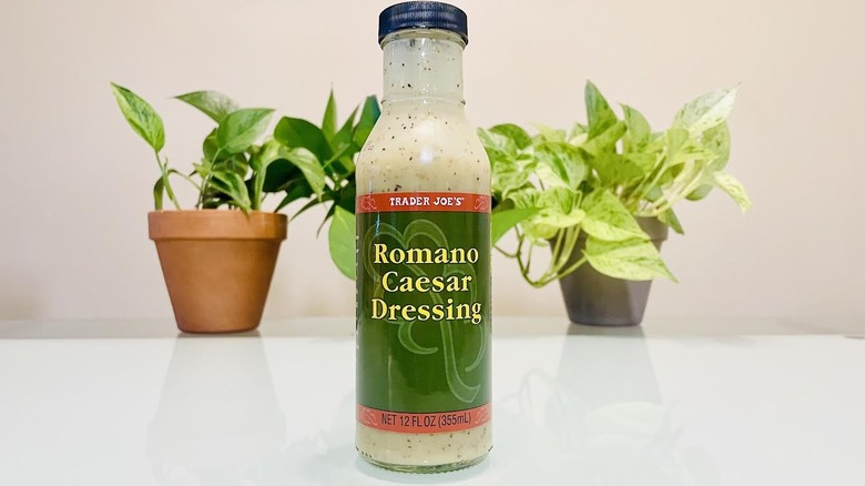 Bottle of Trader Joe's Romano Caesar Dressing