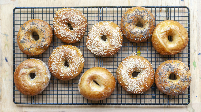 Bagels on top of a cooling rack.