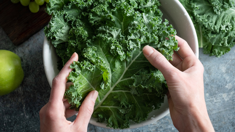 Hands holding large kale leaf in a white bowl