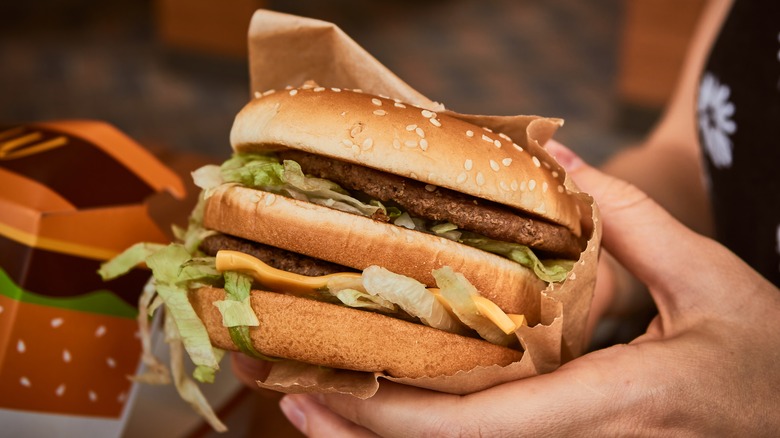 Person holding a big mac