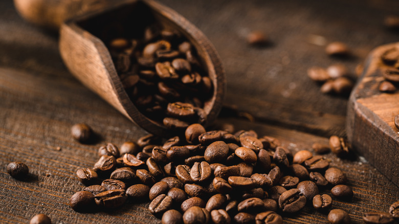 scoop of roasted coffee beans