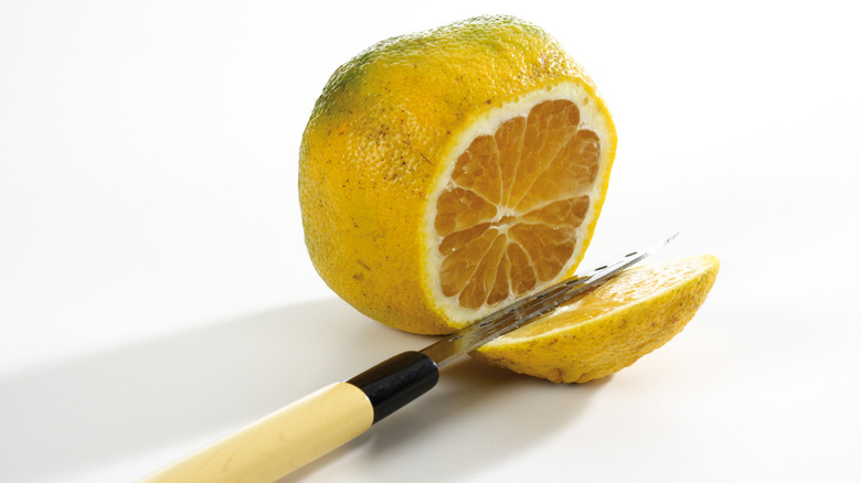 A sliced ugli fruit