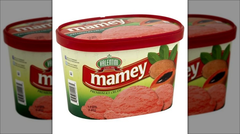 Valentini Mamey Ice Cream from Publix