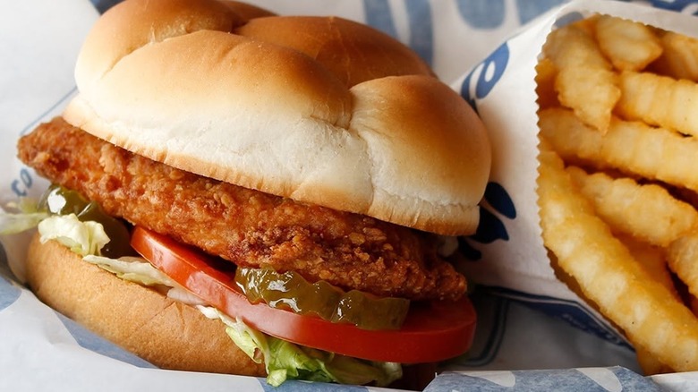 A chicken sandwich with fries from Culver's.