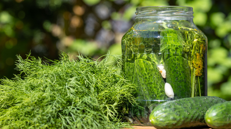 A jar of pickles.